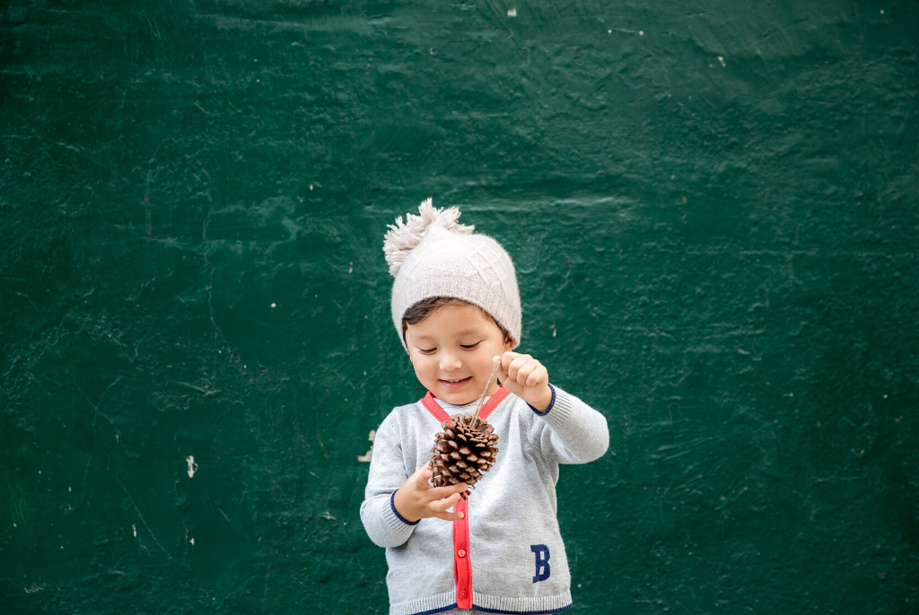 Our Festive Guide: Go Green this Christmas
