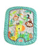 A Multicolour Playmats from Bright Starts in size O/S for neutral. (Front View)