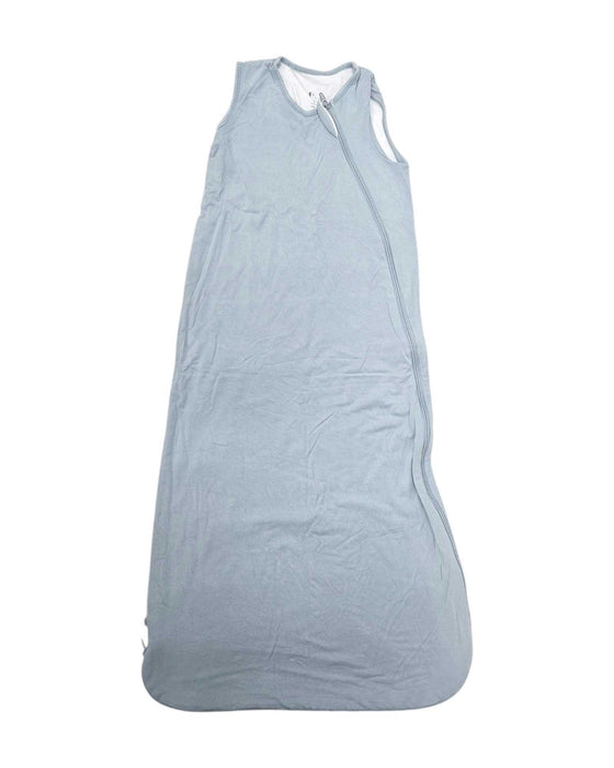 A Blue Sleepsacs from Kyte Baby in size 6-12M for boy. (Back View)