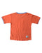 A Orange Short Sleeve T Shirts from Peter Rabbit in size 6T for boy. (Back View)