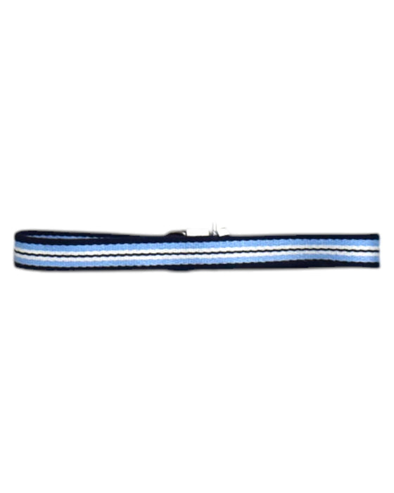 A Blue Belts from Polo Ralph Lauren in size 4T for boy. (Back View)