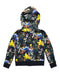 A Multicolour Hooded Sweatshirts from Polo Ralph Lauren in size 10Y for neutral. (Back View)
