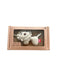 A Beige Soft Toys from Shears in size O/S for neutral. (Front View)