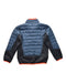 A Blue Puffer/Quilted Jackets from Patagonia in size 6T for neutral. (Back View)