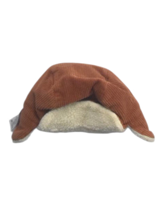 A Brown Winter Hats from Petit Bateau in size 3-6M for boy. (Front View)