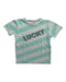 A Multicolour Short Sleeve T Shirts from Scamp & Dude in size 6T for boy. (Front View)