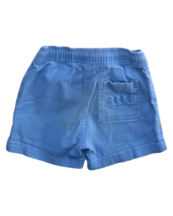 A Blue Shorts from Seed in size 2T for boy. (Back View)