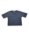 A Navy Short Sleeve T Shirts from In Good Company in size 5T for boy. (Front View)