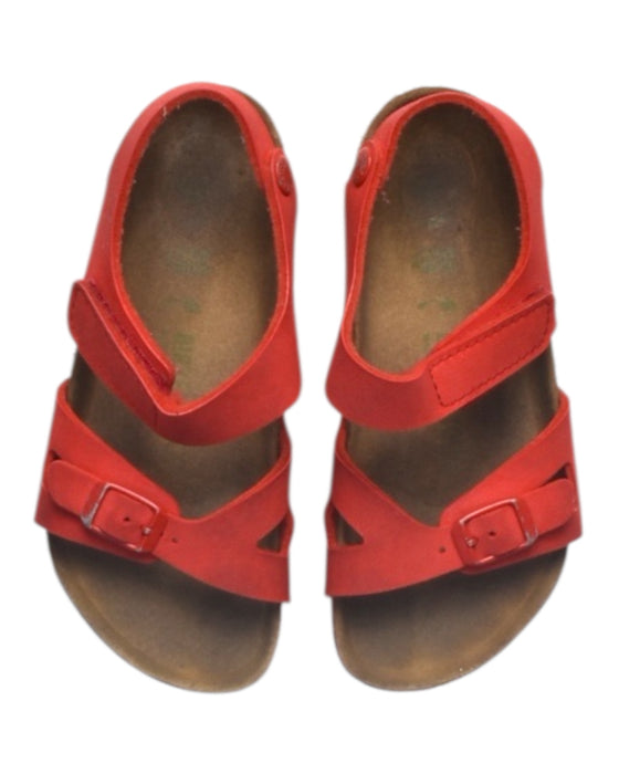 A Red Sandals from Birkenstock in size 6T for girl. (Back View)