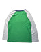 A Multicolour Long Sleeve T Shirts from Polo Ralph Lauren in size 10Y for boy. (Back View)