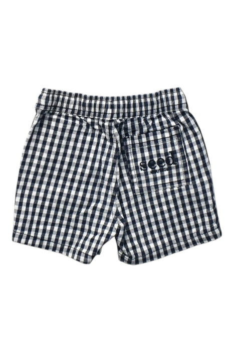A Black Shorts from Seed in size 2T for boy. (Back View)