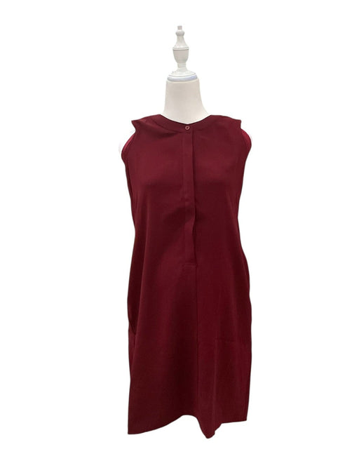 A Burgundy Sleeveless Dresses from Mothercot in size Maternity-S for maternity. (Front View)