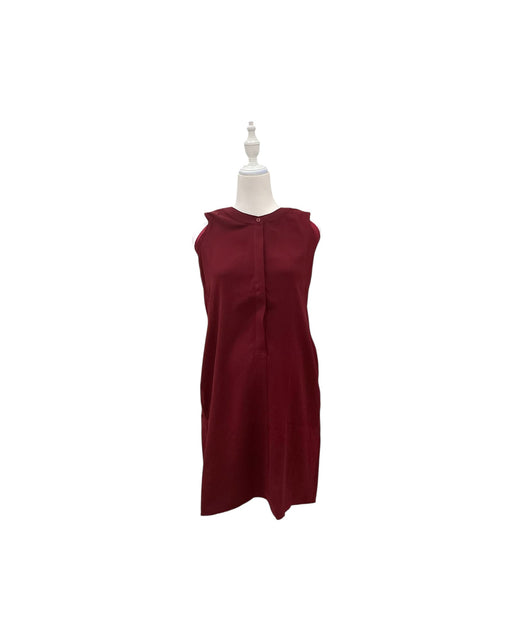 A Burgundy Sleeveless Dresses from Mothercot in size Maternity-S for maternity. (Front View)