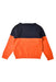 A Black Knit Sweaters from Guess in size 4T for boy. (Back View)