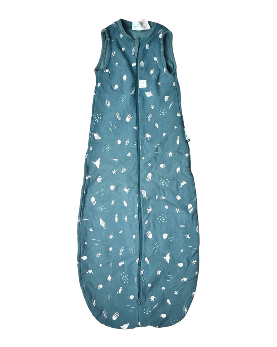 A Teal Sleepsacs from ErgoPouch in size 6-12M for boy. (Front View)