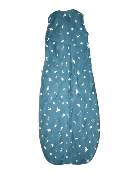 A Teal Sleepsacs from ErgoPouch in size 6-12M for boy. (Back View)