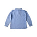 A Blue Long Sleeve Polos from Polo Ralph Lauren in size 4T for boy. (Back View)