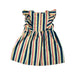 A Multicolour Sleeveless Dresses from Hunter + Boo in size 4T for girl. (Back View)