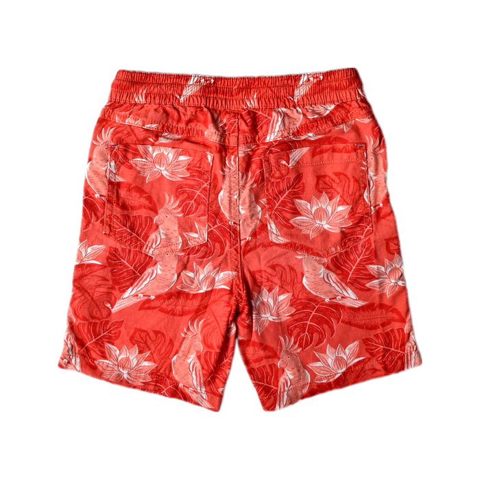 A Red Shorts from Boden in size 6T for boy. (Back View)
