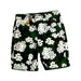 A Green Shorts from Appaman in size 7Y for boy. (Front View)