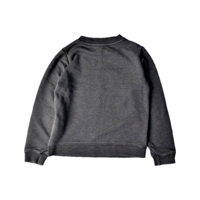 A Grey Crewneck Sweatshirts from Livly in size 5T for boy. (Back View)