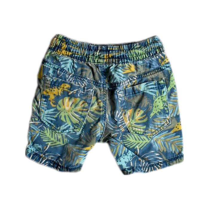 A Blue Shorts from DPAM in size 3T for boy. (Back View)