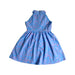 A Blue Sleeveless Dresses from Le Petit Society in size 3T for girl. (Back View)