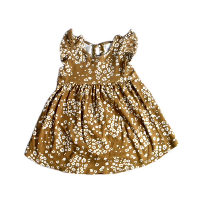 A Brown Sleeveless Dresses from Jamie Kay in size 3T for girl. (Front View)