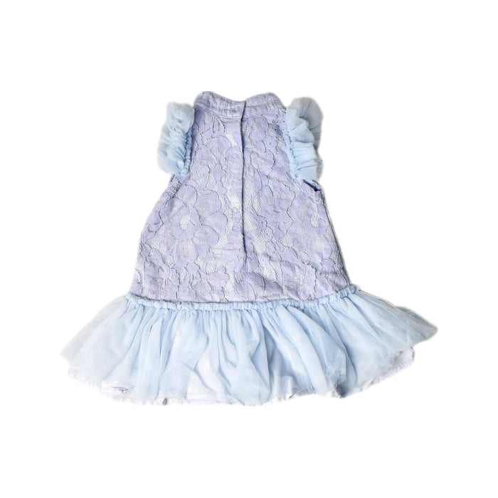 A Blue Sleeveless Dresses from Le Petit Society in size 6-12M for girl. (Back View)