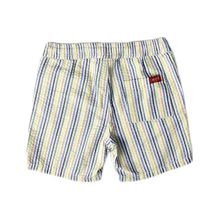 A Multicolour Shorts from Seed in size 4T for boy. (Back View)