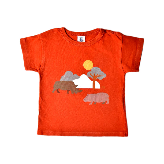 A Orange Short Sleeve T Shirts from Petit Bateau in size 2T for boy. (Front View)