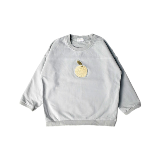 A Grey Crewneck Sweatshirts from Jamie Kay in size 5T for boy. (Front View)