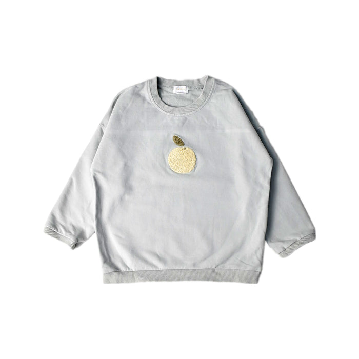 A Grey Crewneck Sweatshirts from Jamie Kay in size 5T for boy. (Front View)