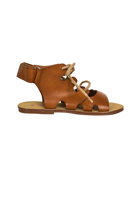 A Brown Sandals from Seed in size 6T for girl. (Front View)
