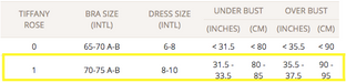 A Ivory Short Sleeve Dresses from Tiffany Rose in size S for maternity. 