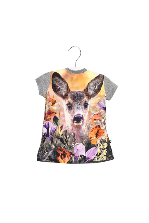 A Grey Short Sleeve T Shirts from Molo in size 3-6M for girl. (Front View)